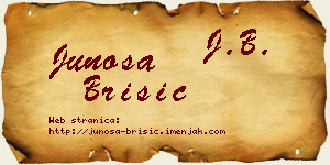 Junoša Brisić vizit kartica